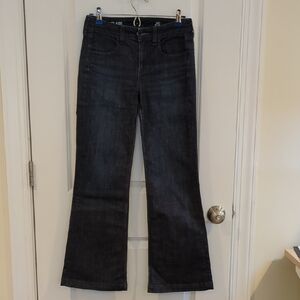 Banana Republic Flare Wide Leg Jeans